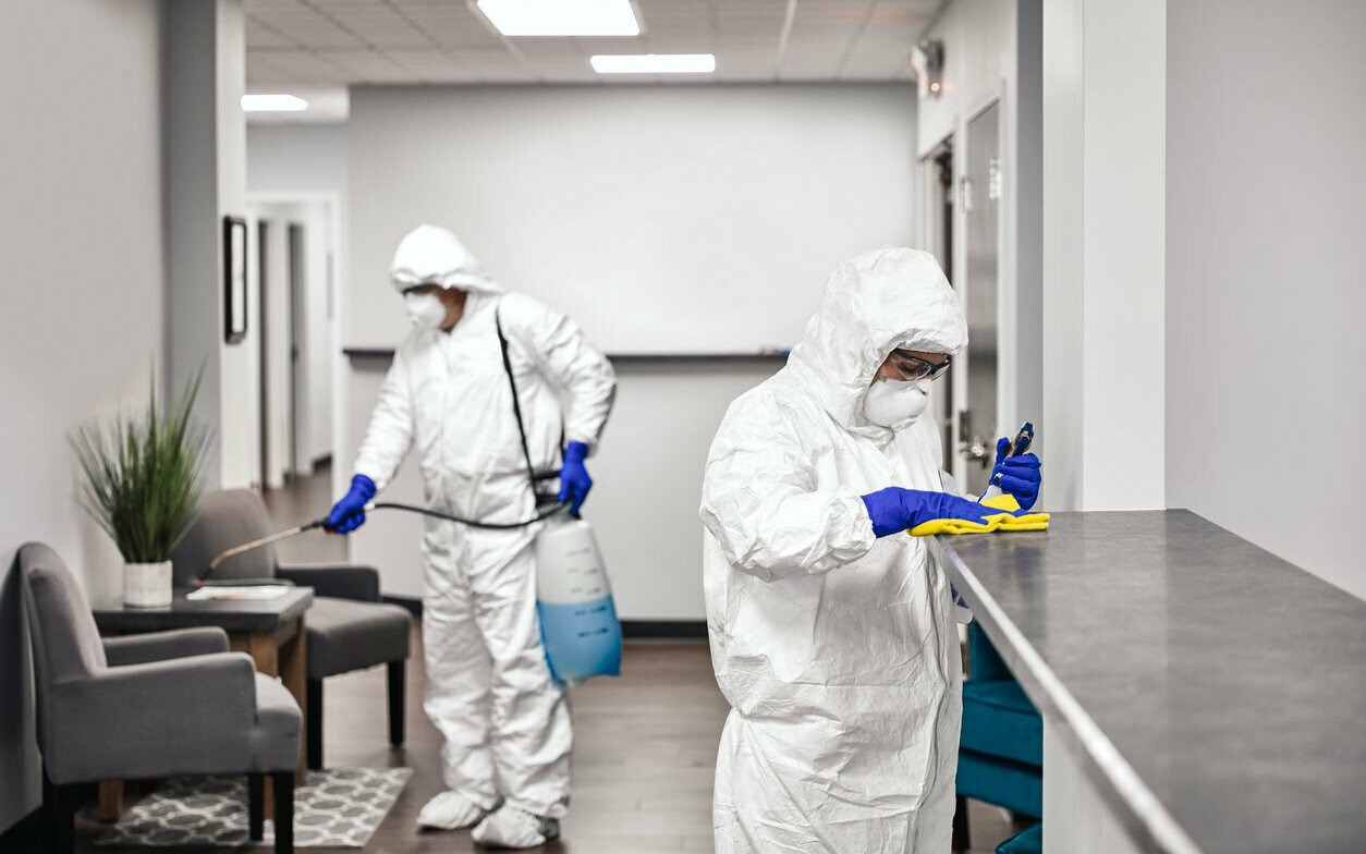 ФОТО Обработка офиса от вредителей в Красково | подробно