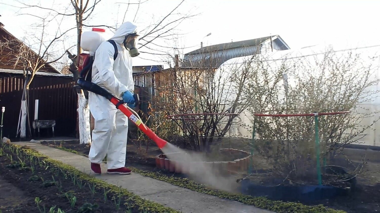 ФОТО Уничтожение муравьёв в Красково