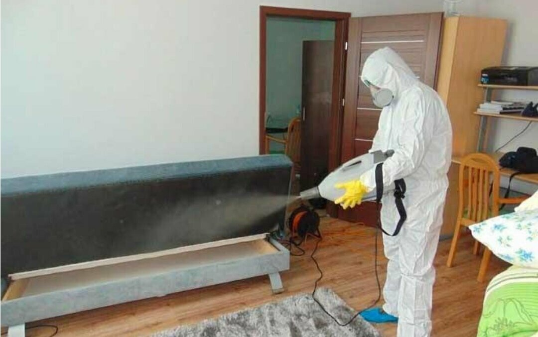 ФОТО Уничтожение блох в Красково