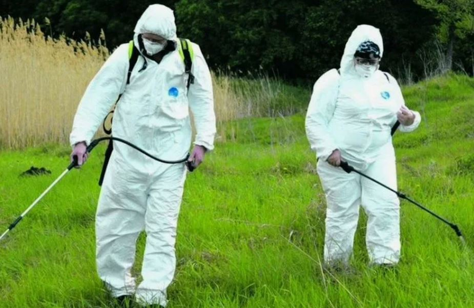 ФОТО Обработка от клещей в Красково