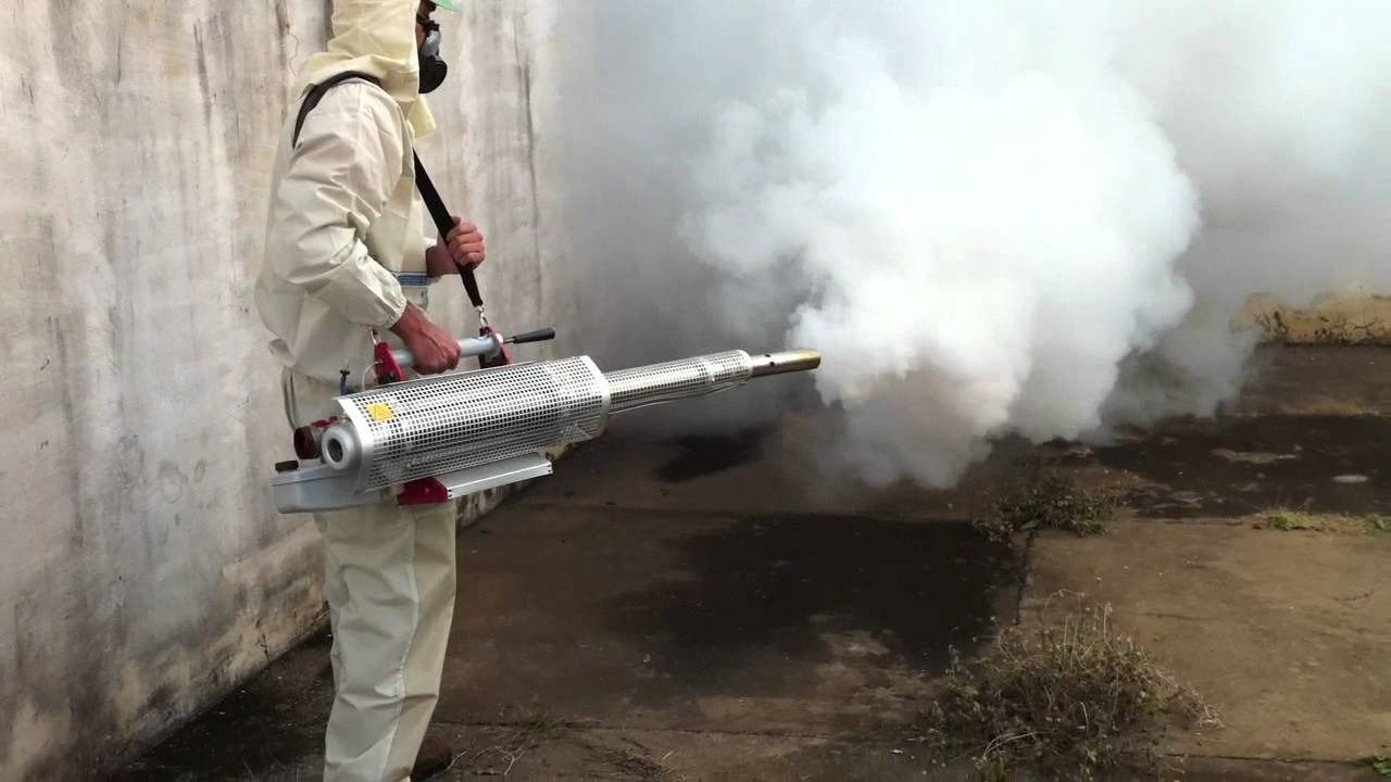 ФОТО Уничтожение мух в Красково