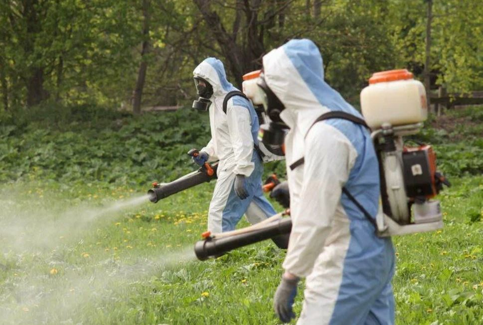 ФОТО Что такое дезинсекция в Красково? | подробно