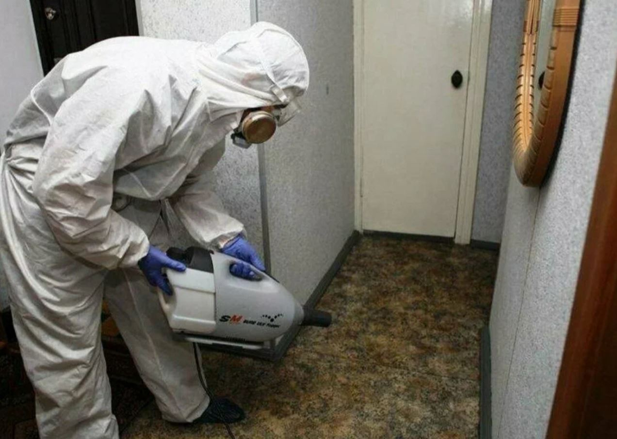 ФОТО Какие методы обработки для дезинсекции существуют в Красково? | подробно
