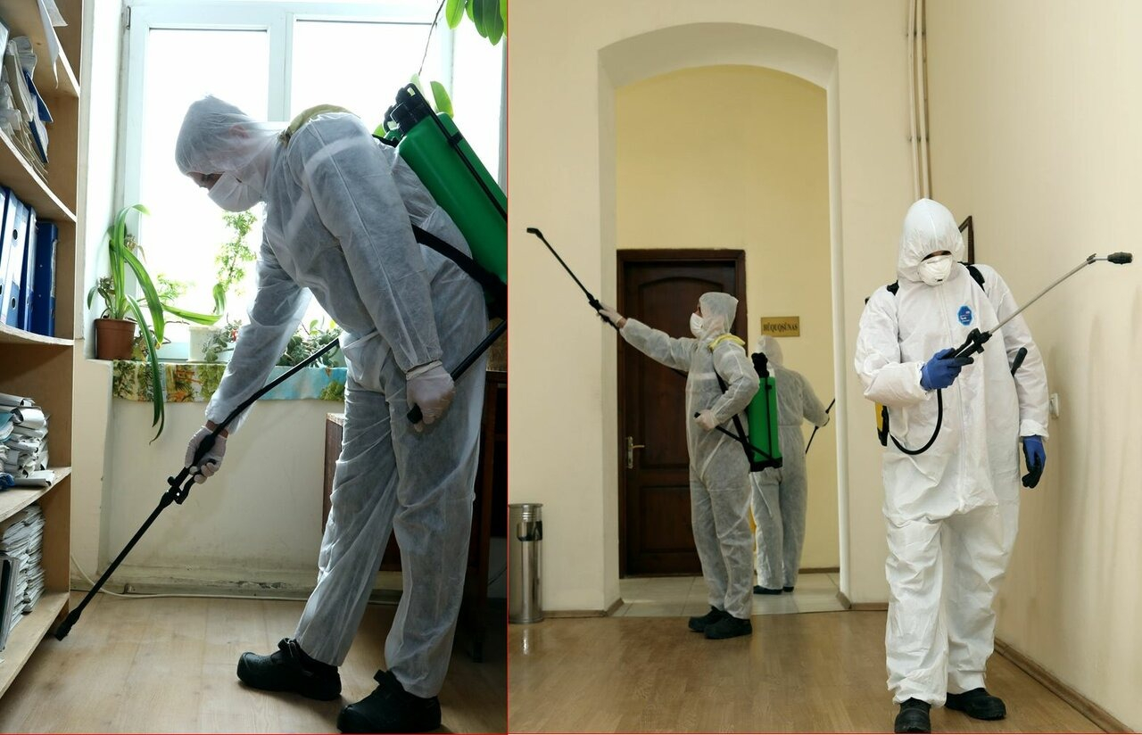 ФОТО Требуется ли лицензия для дезинсекции и дезинфекции в Красково? | подробно