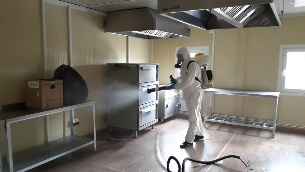 ФОТО Можно ли провести дезинсекцию самостоятельно и какие существуют риски в Красково? | подробно