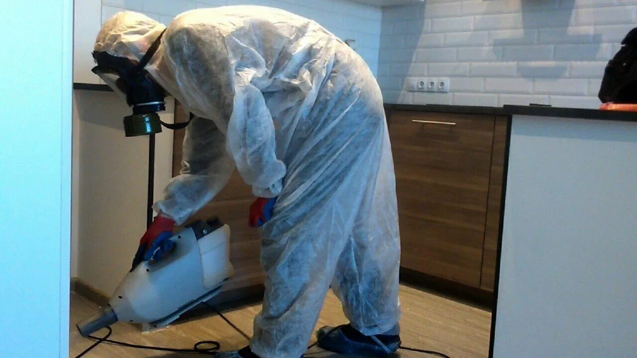 ФОТО Как подготовить домашних животных к обработке от насекомых в Красково? | подробно