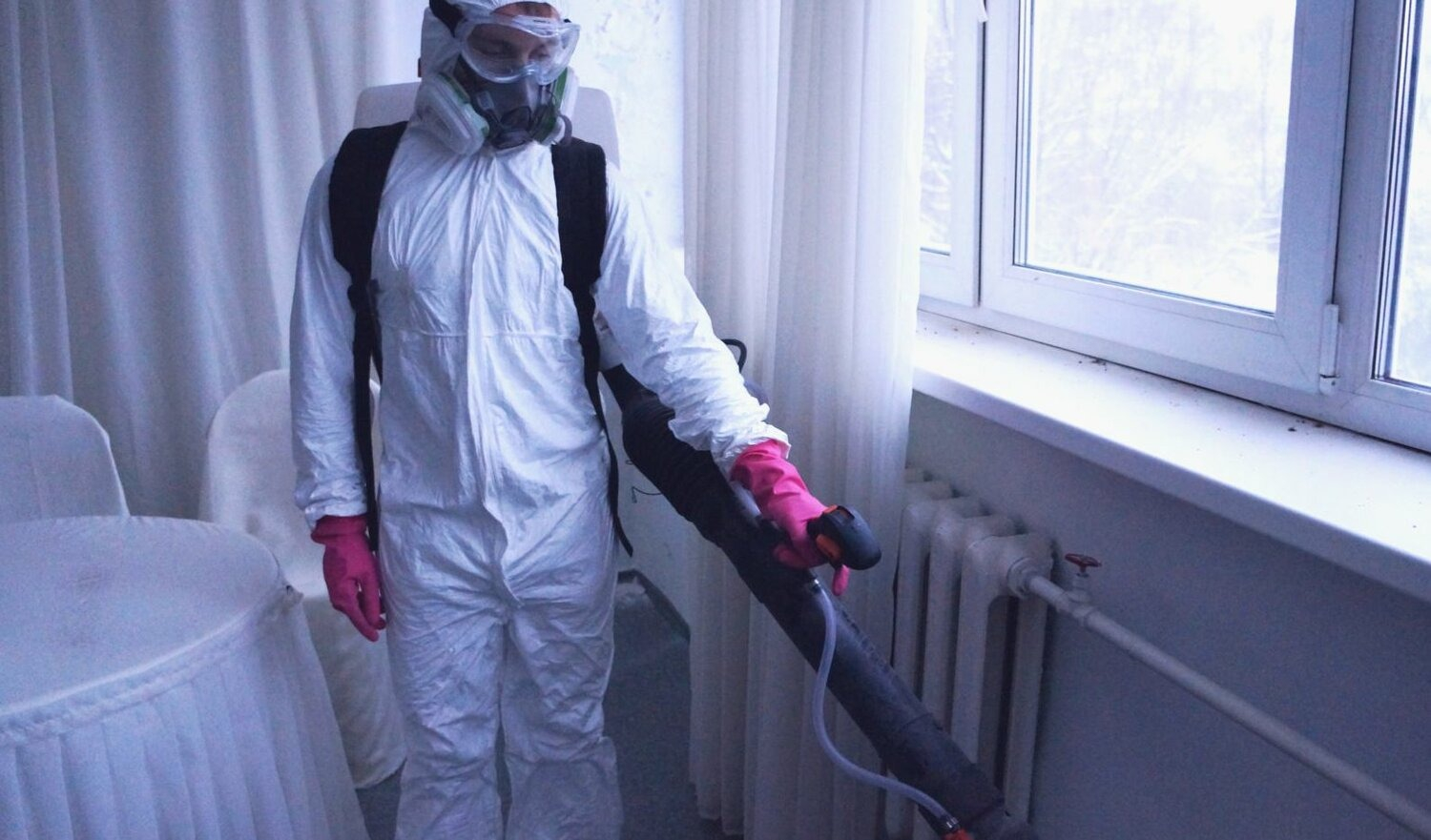 ФОТО Нужно ли выносить растения при дезинсекции в Красково? | подробно