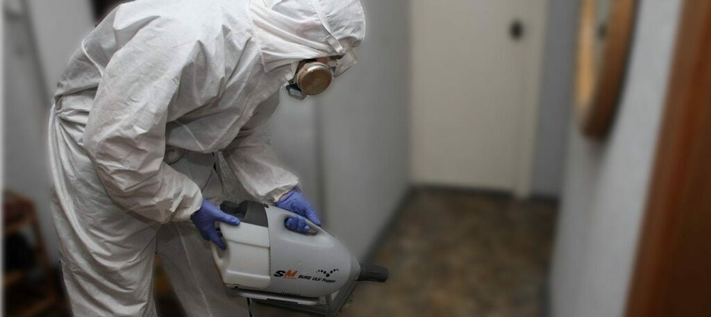 ФОТО Остаются ли следы после обработки квартиры от насекомых в Красково? | подробно