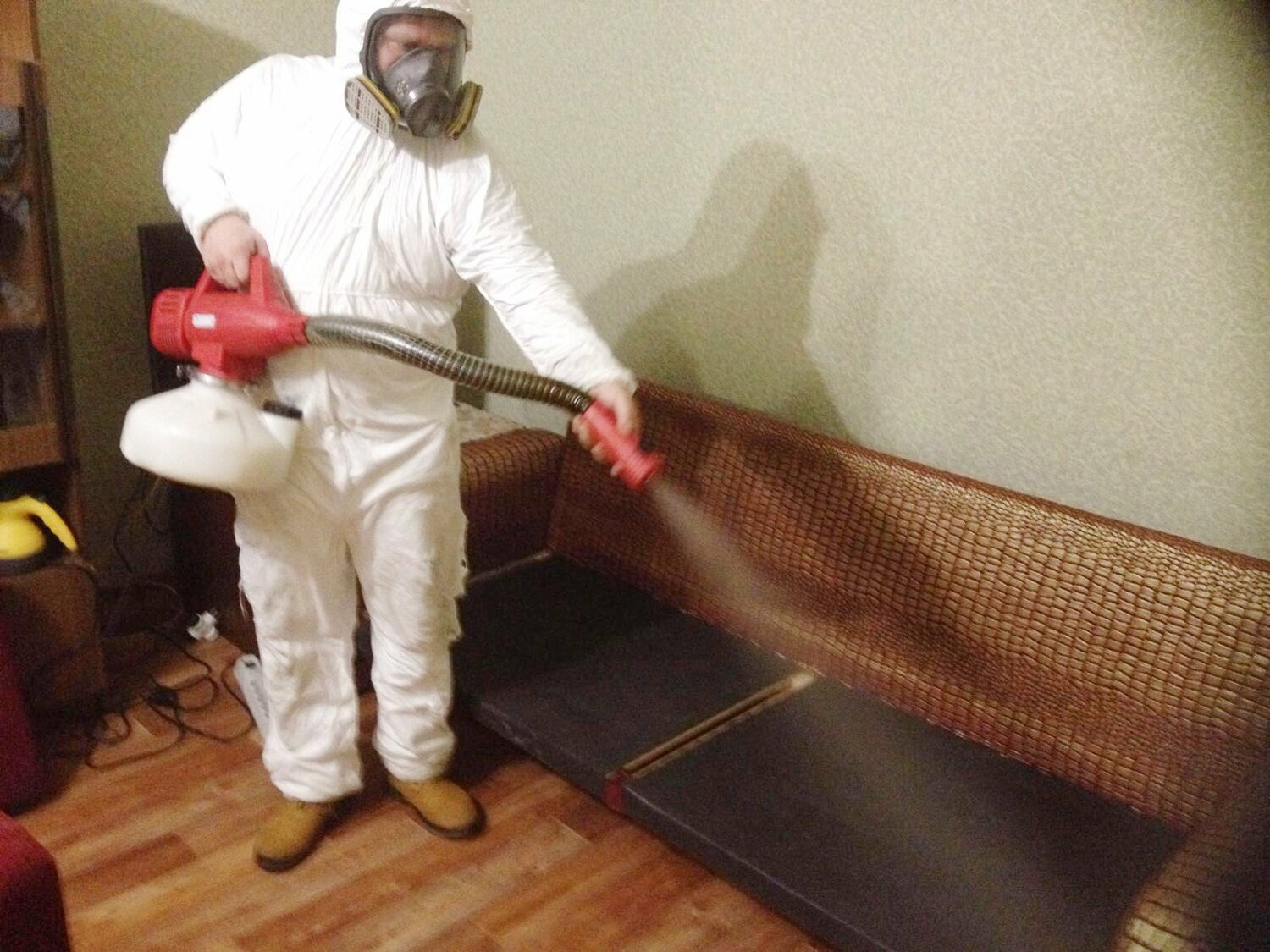 ФОТО Когда можно вернуться в помещение после дезинсекции в Красково? | подробно