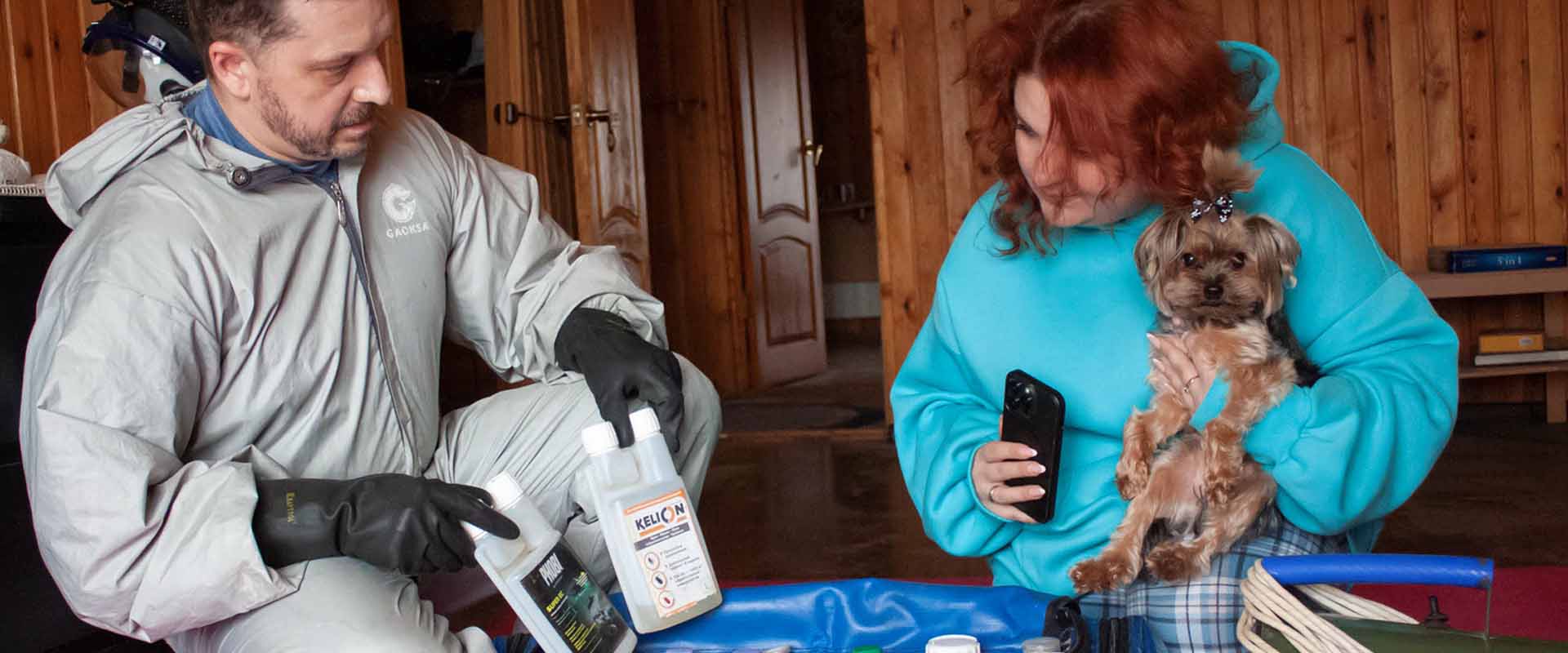 фото: Уничтожение блох в помещениях, домах и квартирах по Красково и области.